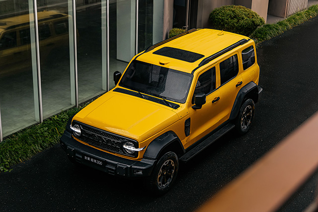 GWM Tank 300L