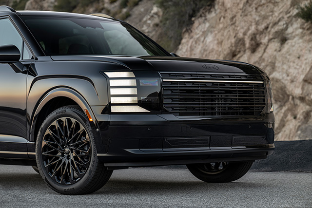 Hyundai Palisade Calligraphy Black Ink