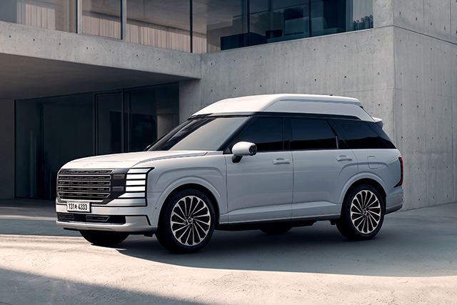 Hyundai Palisade High Roof
