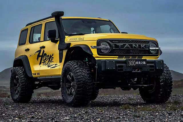 Tank 300